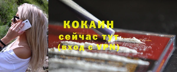 крисы Армянск