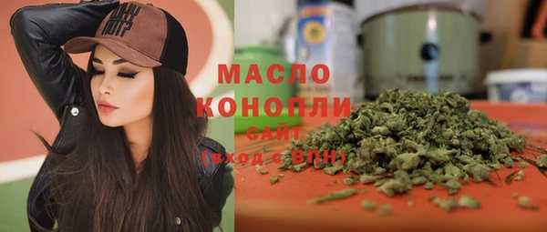 крисы Армянск