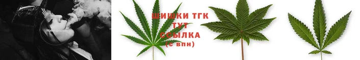 PSILOCYBIN Балабаново