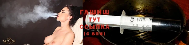крисы Армянск