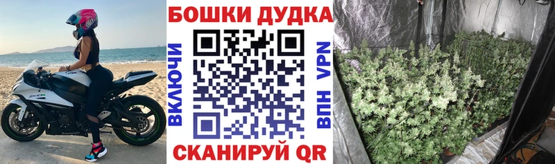 Шишки марихуана ГИДРОПОН  Купить  Алзамай 